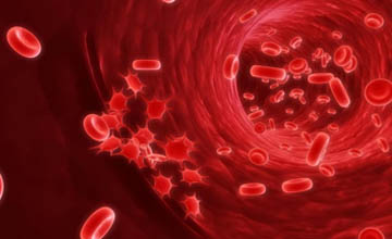 Blood cancer treatment in india